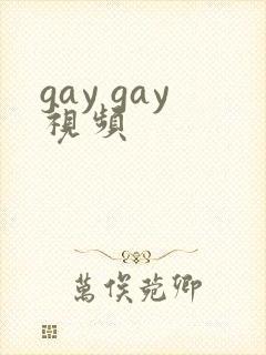 gay gay视频