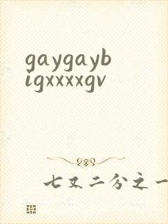 gaygaybigxxxxgv