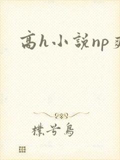 高h小说np爽封面