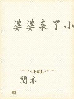 婆婆来了小说封面