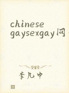 chinesegaysexgay网站
