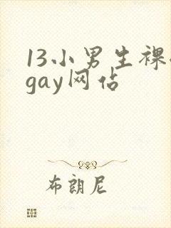13小男生裸体gay网站