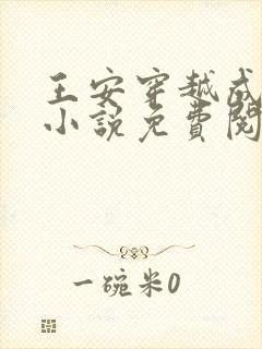 王安穿越成太子小说免费阅读