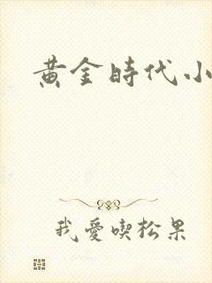 黄金时代小说封面