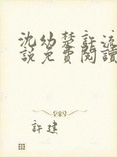 沈幼楚许流年小说免费阅读最新章节