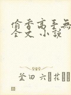 偷香高手无删减全文 小说