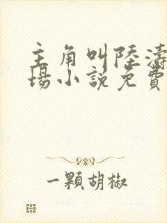 主角叫陆涛的官场小说免费阅读