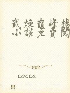 武炼巅峰杨开 小说免费阅读