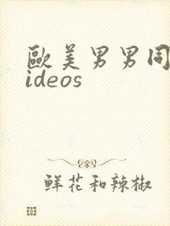 欧美男男同性videos