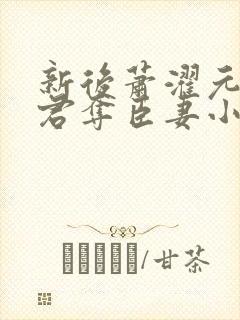 新后萧濯元朝露君夺臣妻小说笔趣阁封面
