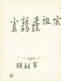 小说老祖宗她是真的狂