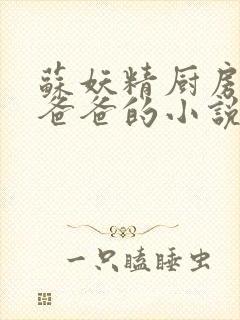 苏妖精厨房爹爹爸爸的小说