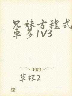 兄妹方程式多R车多1V3