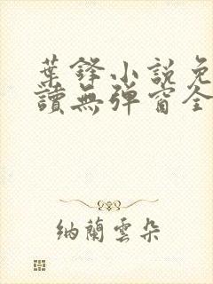 叶锋小说免费阅读无弹窗全文