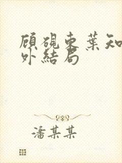 顾砚东叶知安番外结局