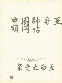 中国帅哥互操视频网站