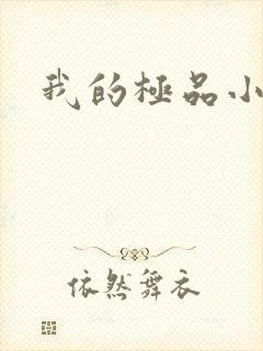 我的极品小姨封面