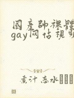 国产帅裸体男模gay网站视频封面