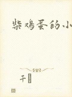 柴鸡蛋的小说