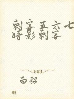 刺客五六七七大暗影刺客