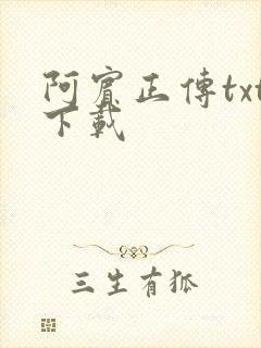 阿宾正传txt下载