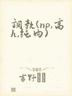 调教(np,高h,纯肉)