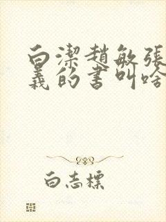 白洁赵敏张倩高义的书叫啥名