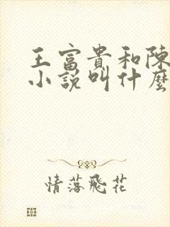 王富贵和陈芸的小说叫什么