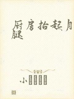 厨房抬起月月的腿封面