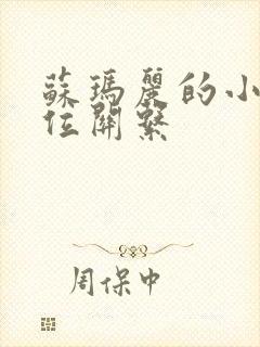 苏玛丽的小说错位关系