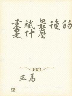 袁斌最后的结局是什么