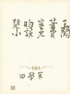 楚昀宁萧王穿越小说免费阅读无弹窗