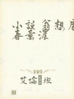 小说 翁想房中春意浓