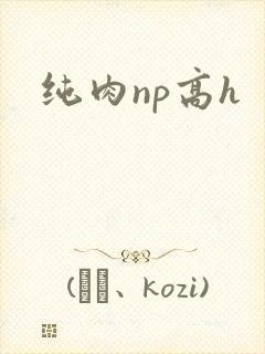 纯肉np高h封面