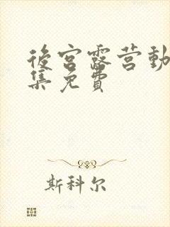 后宫露营动漫全集免费