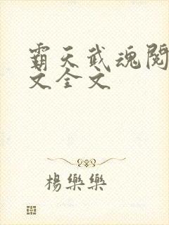 霸天武魂阅读全文全文封面