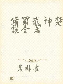 修罗武神楚枫小说全篇