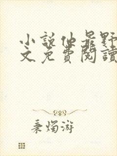 小说他最野了全文免费阅读