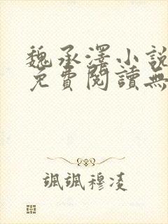 魏承泽小说全文免费阅读无弹窗笔趣