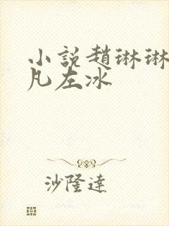 小说赵琳琳和陈凡左冰封面