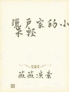 猎户家的小娇娘 朱轻