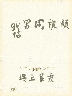 gv男同视频网站封面