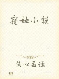 宠她小说