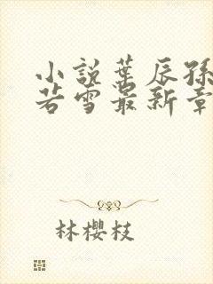 小说叶辰孙怡夏若雪最新章节阅读