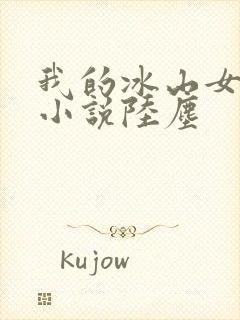 我的冰山女总裁小说陆尘