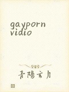 gaypornvidio