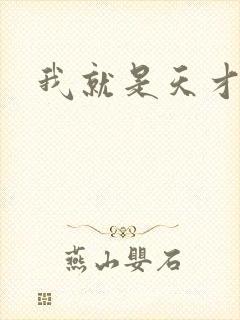我就是天才封面