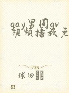 gay男同gv视频播放免费