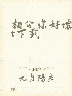 相公你好坏txt下载
