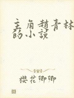 主角赵青林安澜的小说